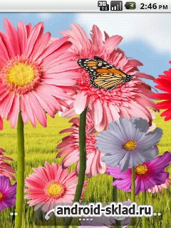Flowers HD - живые обои с цветами и бабочками для Android