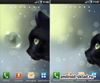 Curious Cat - живые обои с чёрным котом для Android