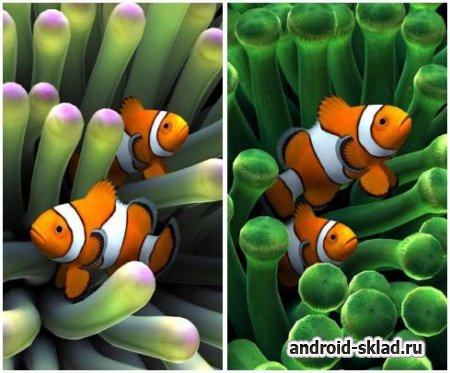 Sim Aquarium - живые обои с коралловыми рыбками для Android