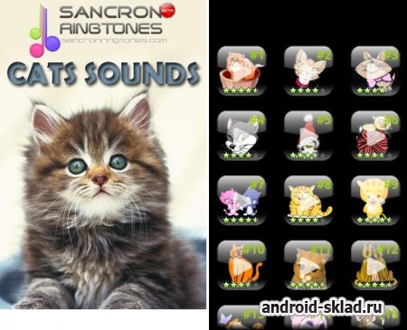 Скачать Cat Sound Ringtones на андроид