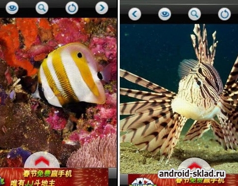 Benthic Puzzle - пазлы с жителями океана для Android