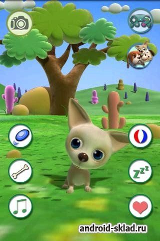 Говорящая Чихуахуа - говорилка для Android Говорящая Чихуахуа - говорилка для Android