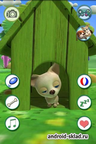 Говорящая Чихуахуа - говорилка для Android Говорящая Чихуахуа - говорилка для Android
