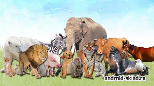 Животные - изучение зверей на Android