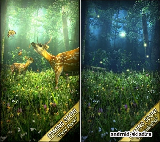 Forest HD - живые обои с дикой природой