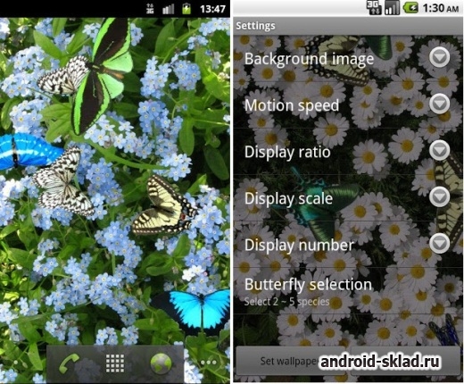 Butterfly - живые обои с бабочками и цветами для Android