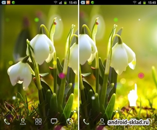 White Flowers HD - живые обои с белыми ландышами для Android