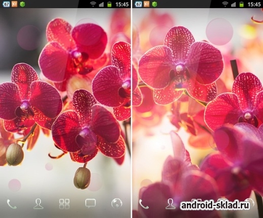 Red Orchid - живые обои с красными орхидеями для Android