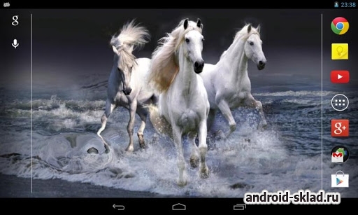 Beautiful Horses Wave effect - обои на андроид