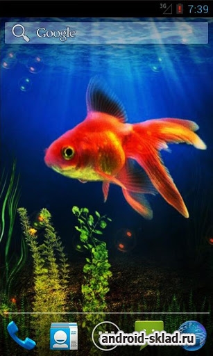 Goldfish - живые обои с золотой рыбкой