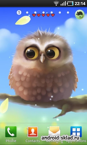 Funny Owl - живые обои с совенком