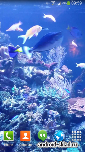 Aquarium Live Wallpaper HD 2 - обои с рыбками