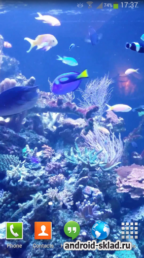 Aquarium Live Wallpaper HD 2 - обои с рыбками