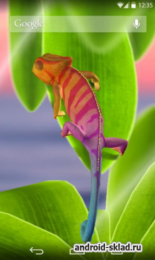 Chameleon 3D Live Wallpaper - обои с хамелеоном