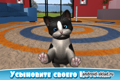 Daily Kitten - виртуальный кот на Андроид