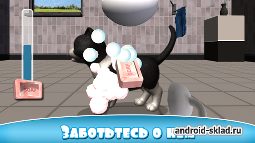 Daily Kitten - виртуальный кот на Андроид