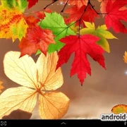 Скачать Falling Autumn Leaves на андроид