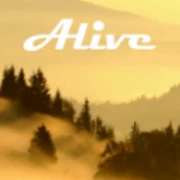 Скачать Forest Alive Video Wallpaper на андроид
