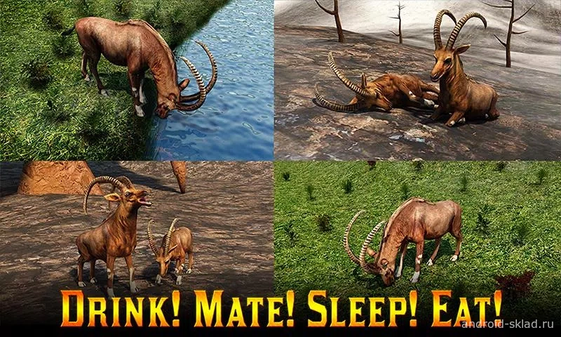 Скриншот Adventures of Mountain Goat 3D №2