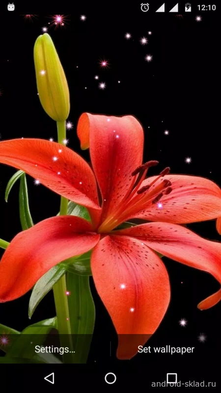 Скриншот Lucky Lily & Lily Flower Live Wallpaper №3