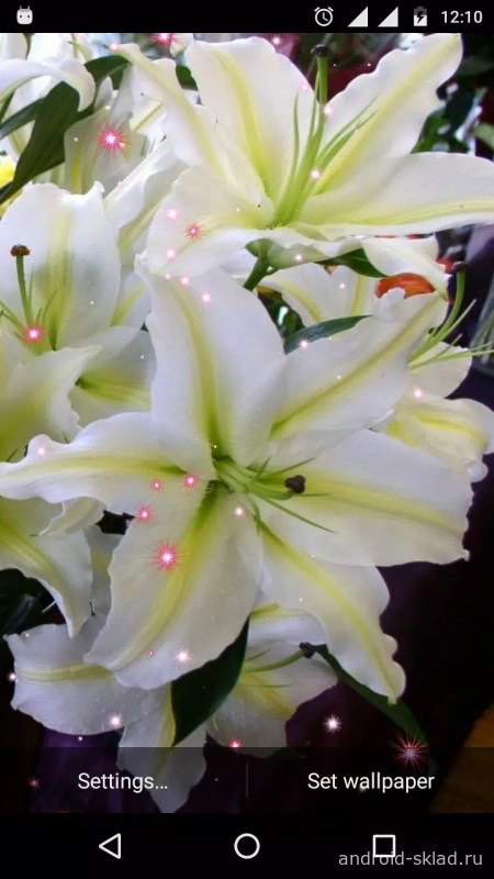 Скриншот Lucky Lily & Lily Flower Live Wallpaper №5