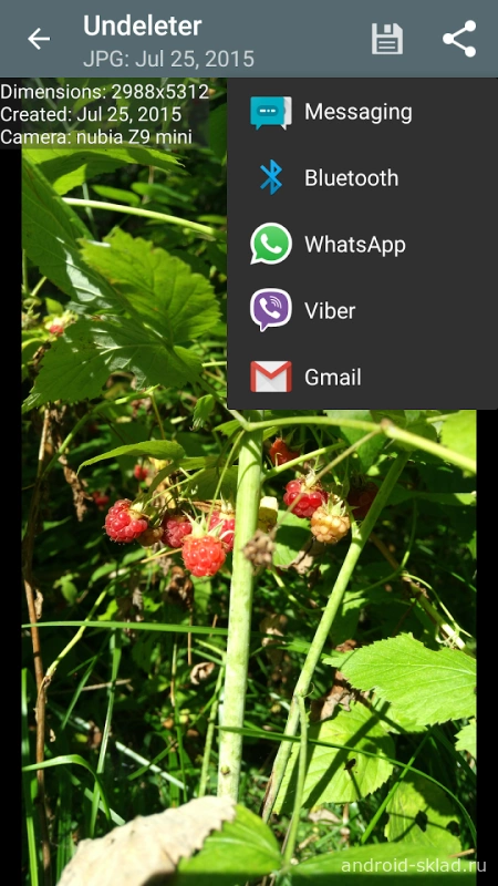 Скриншот Undeleter №4