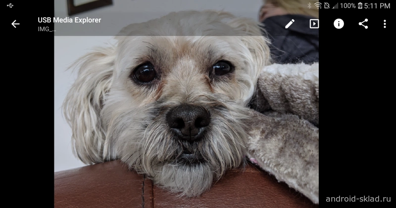 Скриншот USB Media Explorer (Nexus Media Importer) №3