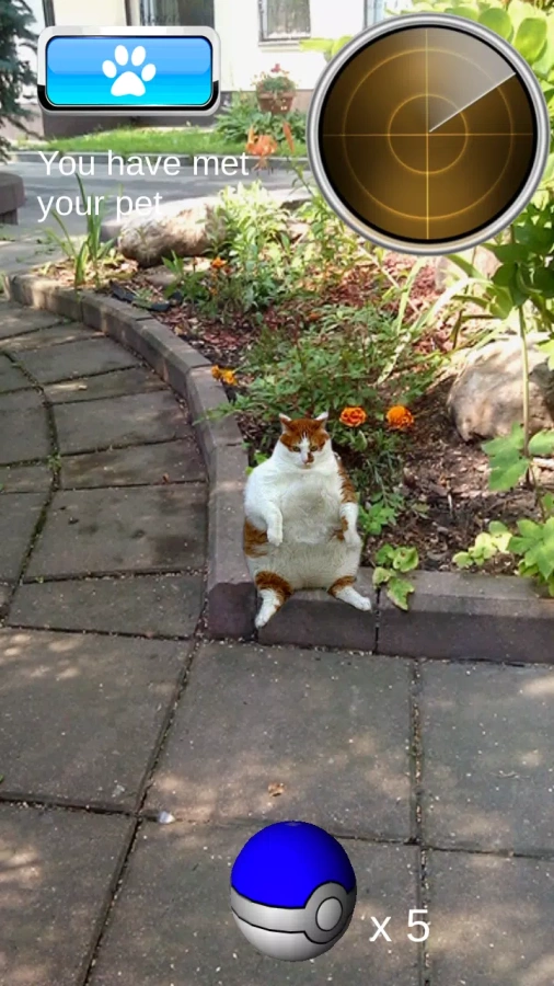 Скриншот Pocket Cats GO №1