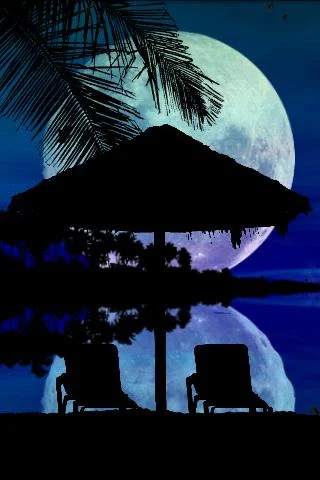 Скриншот Private Beach Live Wallpaper №4