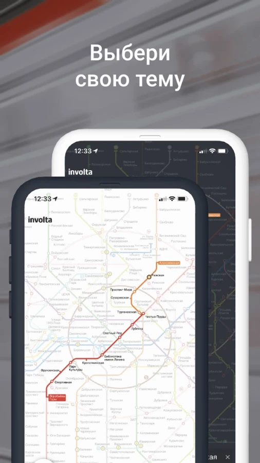 Скриншот Метро Москвы №5