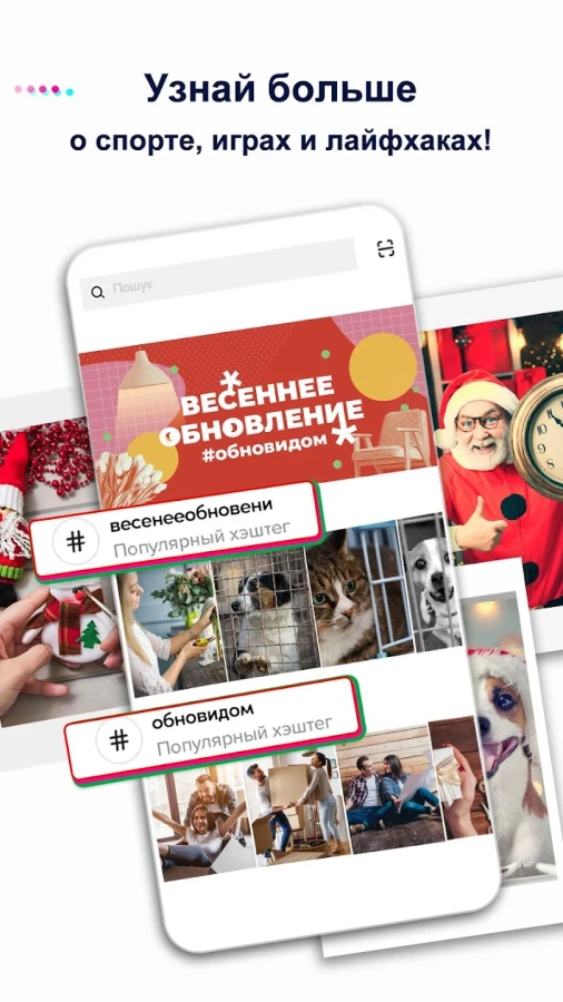 Скриншот TikTok №4