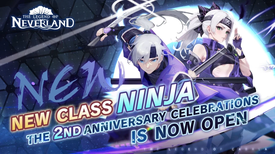 Скриншот The Legend of Neverland №1