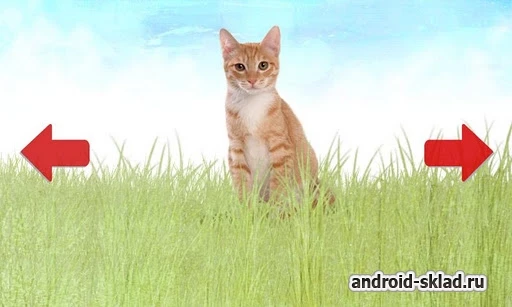 Скриншот Животные №2