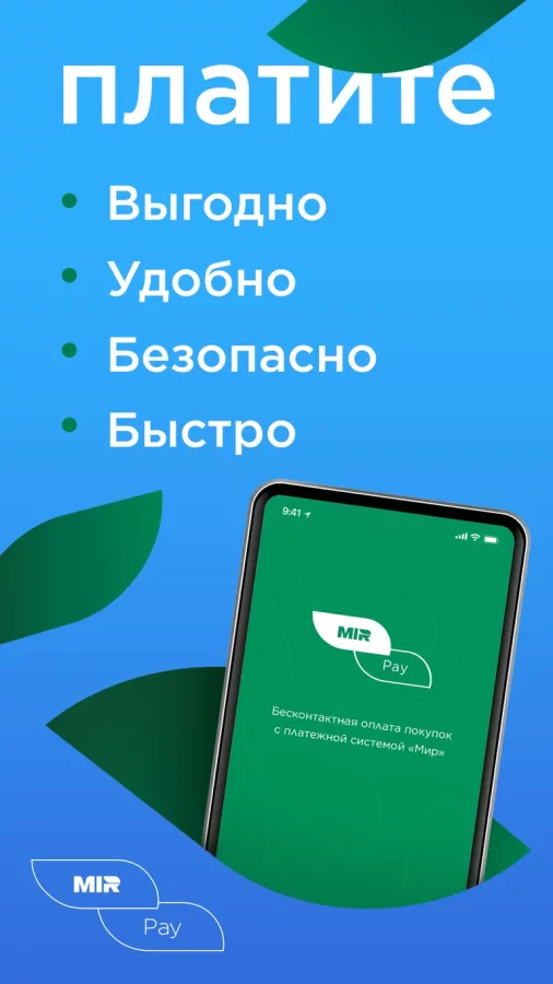Скриншот Mir Pay №1