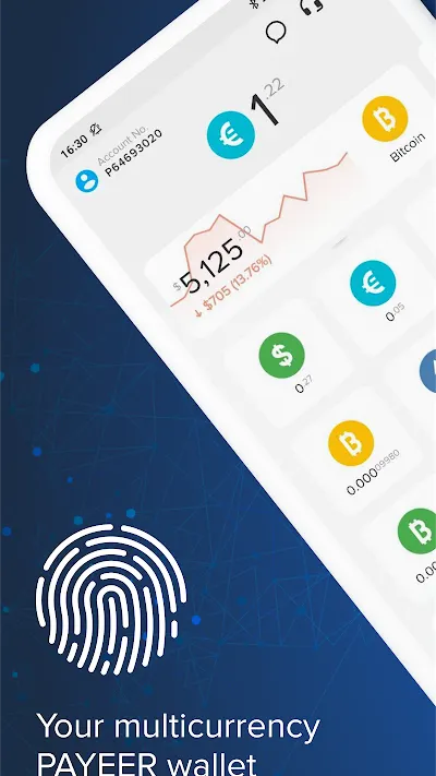 Скриншот Payeer №1