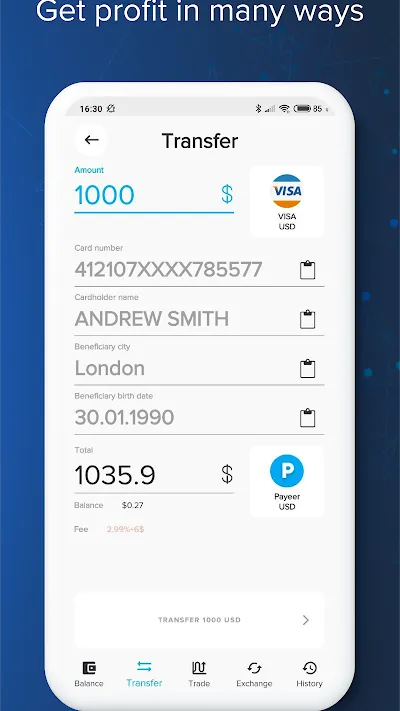 Скриншот Payeer №4