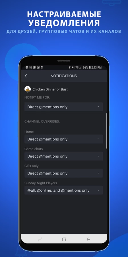 Скриншот Steam Chat №4