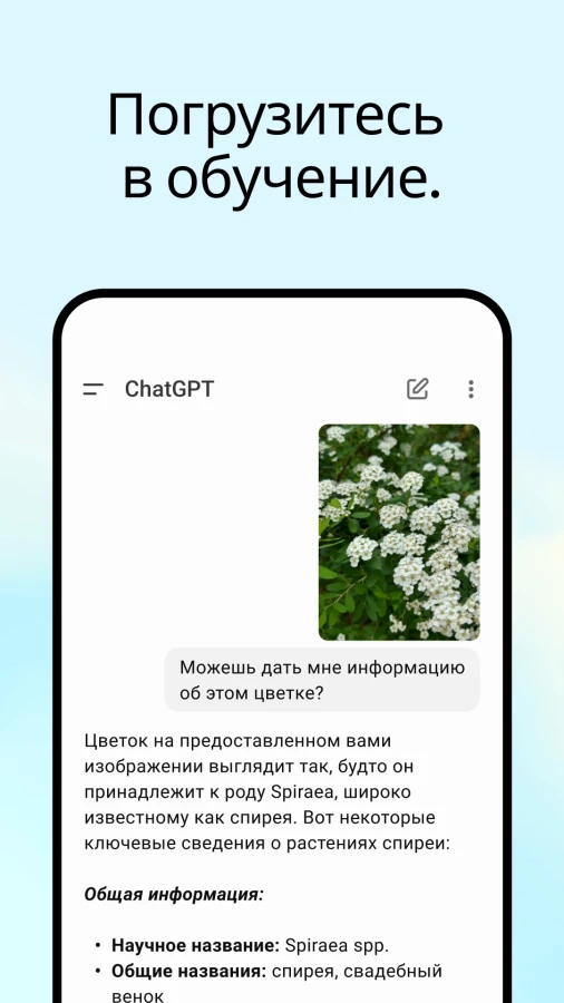 Скриншот ChatGPT №4