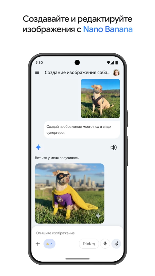 Скриншот Google Gemini №1