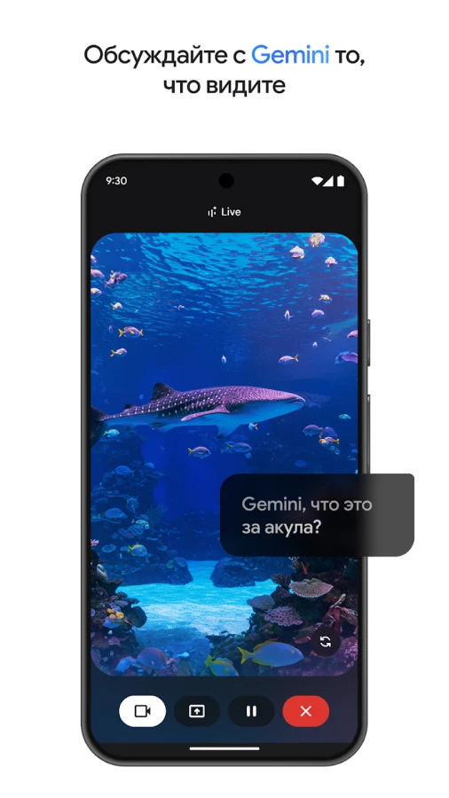 Скриншот Google Gemini №3