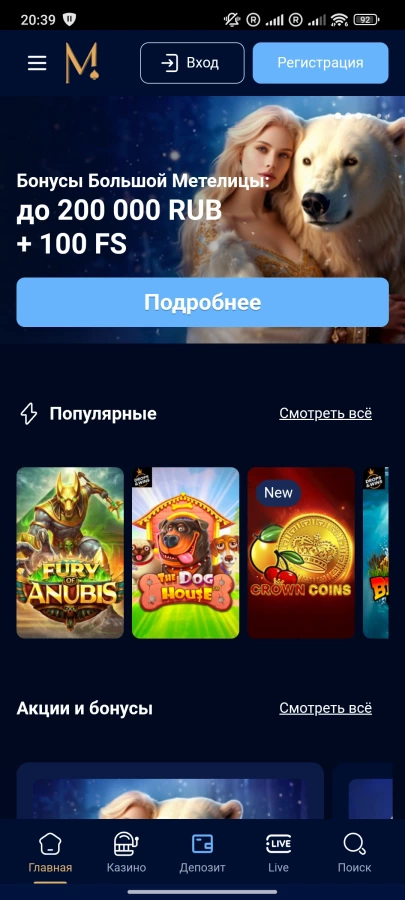 Скриншот Metelitsa на Андроид №1