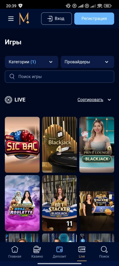 Скриншот Metelitsa на Андроид №3