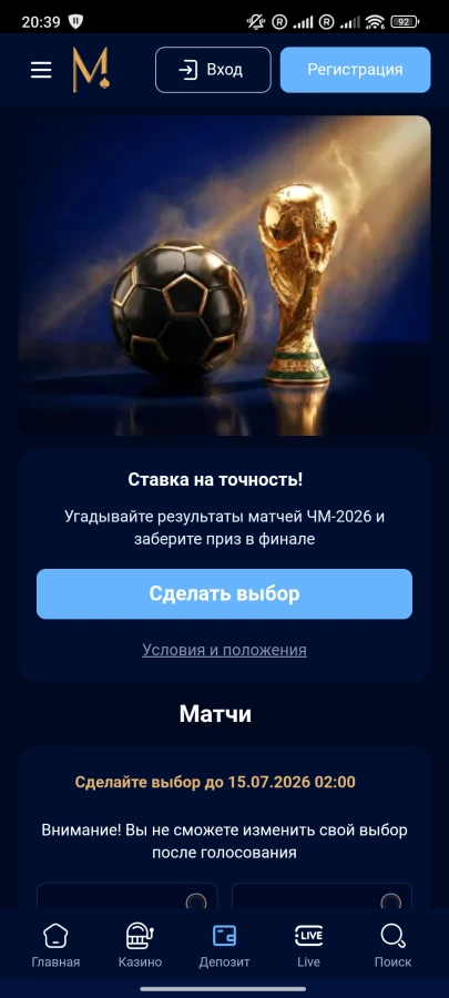 Скриншот Metelitsa на Андроид №4